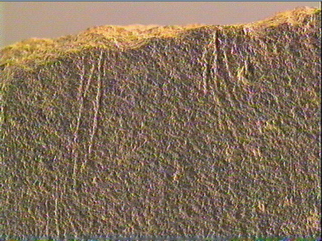 Plaquette (fragment)_4