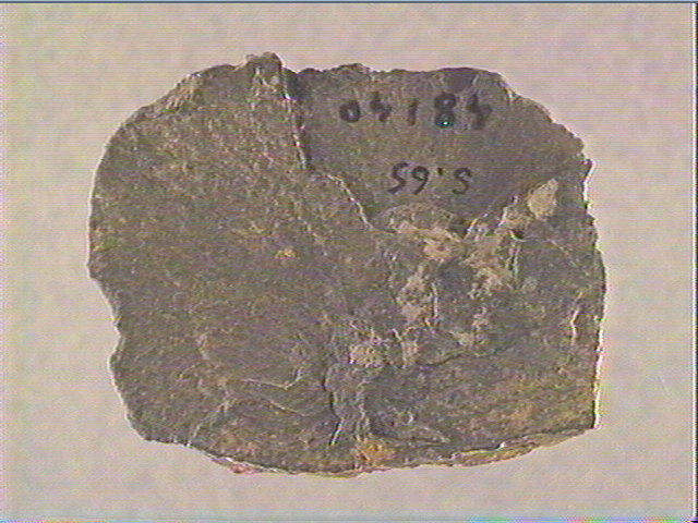 Plaquette (fragment)_1