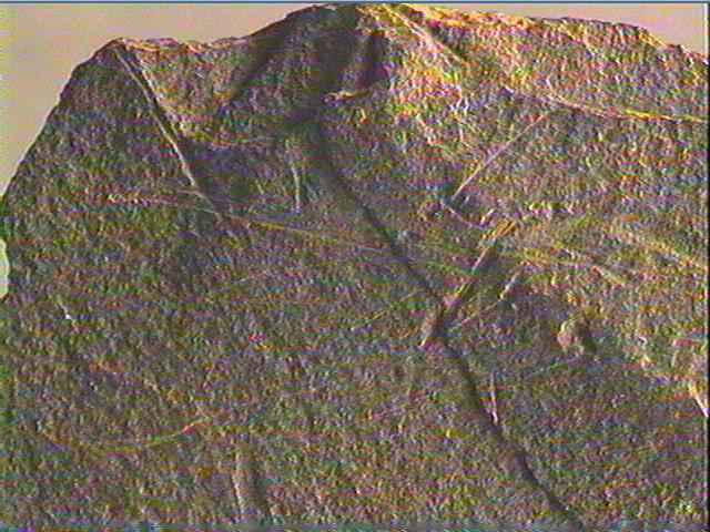 Plaquette (fragment)_2