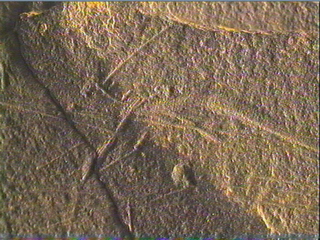 Plaquette (fragment)_3
