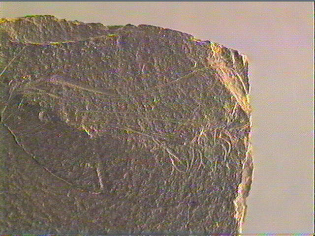 Plaquette (fragment)_4