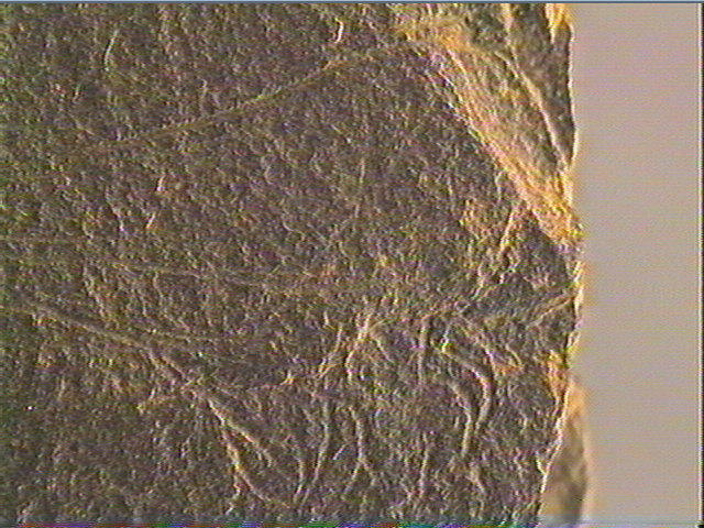 Plaquette (fragment)_5