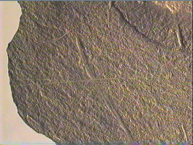 Plaquette (fragment)_6