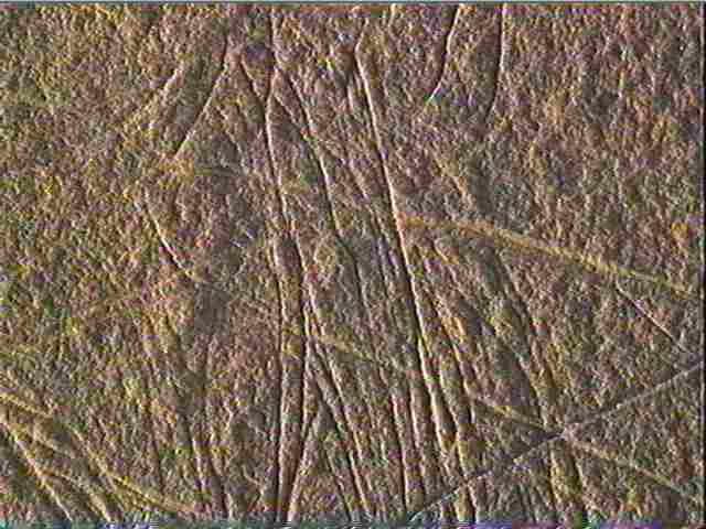 Plaquette (fragment)_4