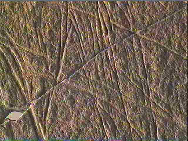 Plaquette (fragment)_5