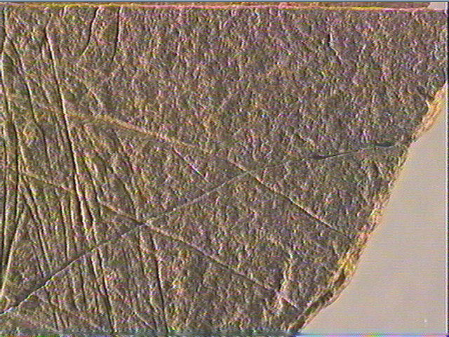 Plaquette (fragment)_6