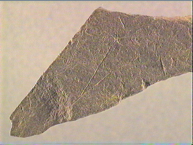 Plaquette (fragment)_2