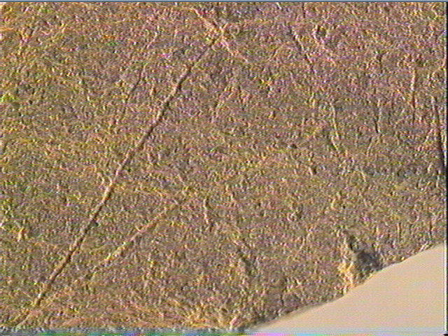 Plaquette (fragment)_3