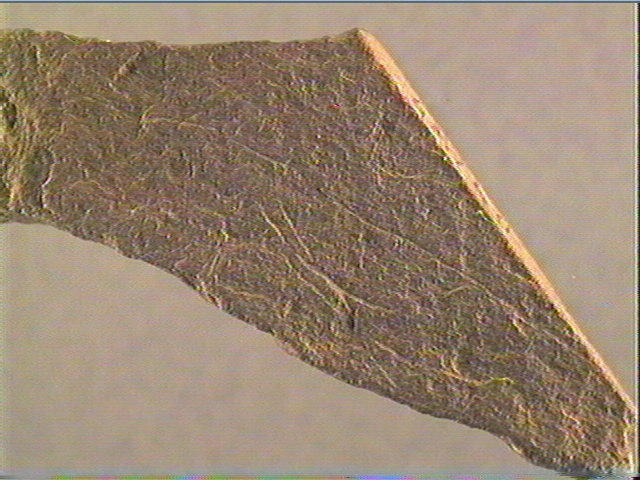 Plaquette (fragment)_5