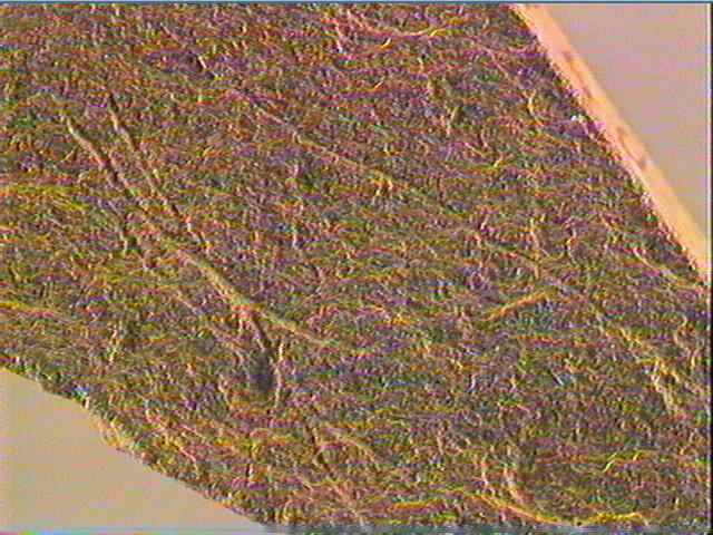 Plaquette (fragment)_6