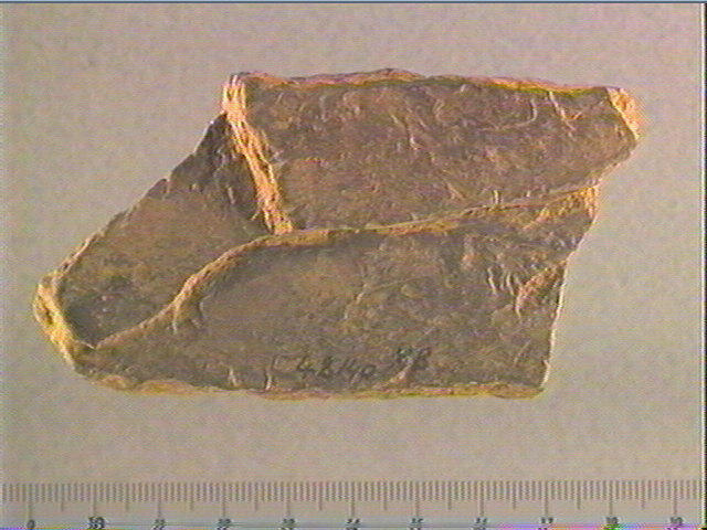 Plaquette (fragment)_0
