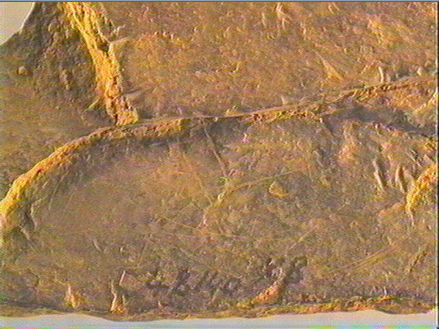 Plaquette (fragment)_4