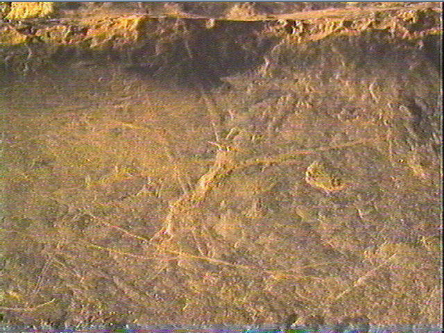 Plaquette (fragment)_5