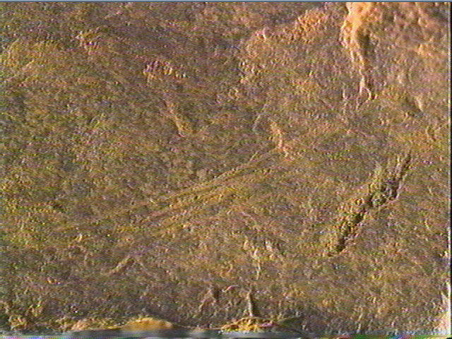Plaquette (fragment)_6