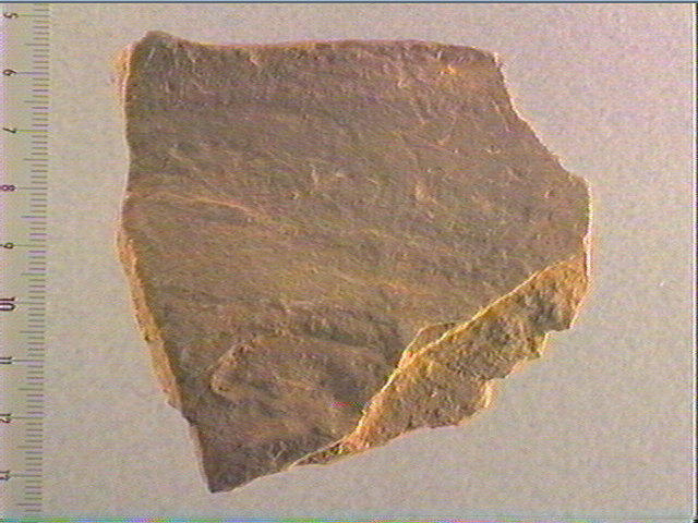Plaquette (fragment)_0