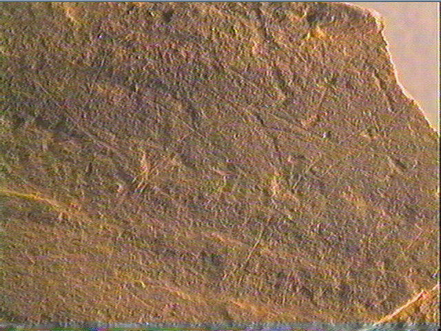 Plaquette (fragment)_4