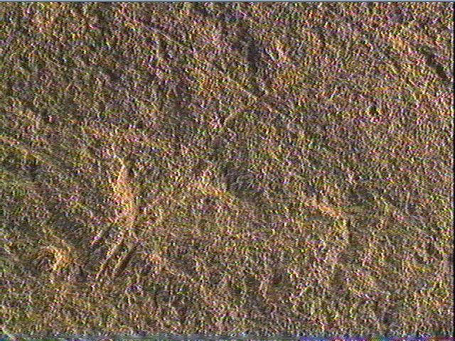 Plaquette (fragment)_5