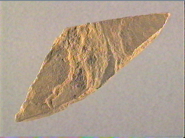 Plaquette (fragment)_2