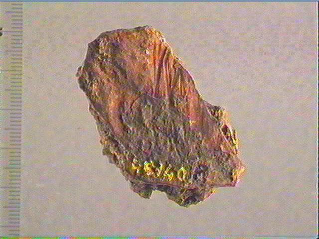 Plaquette (fragment)_0