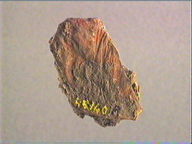 Plaquette (fragment)_1
