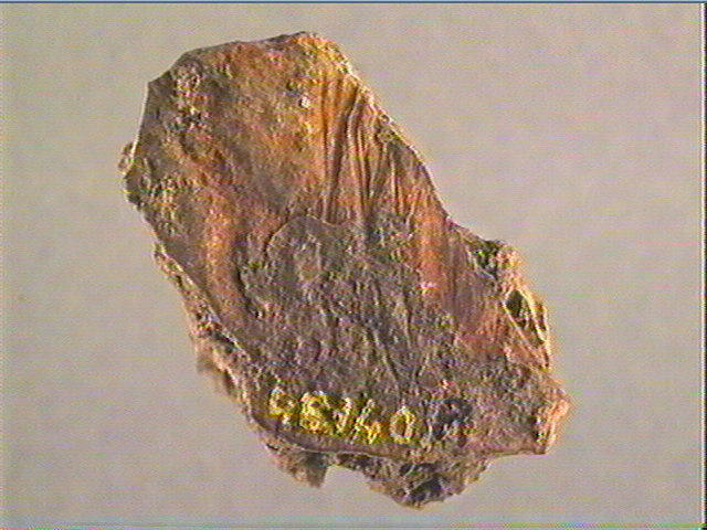 Plaquette (fragment)_3