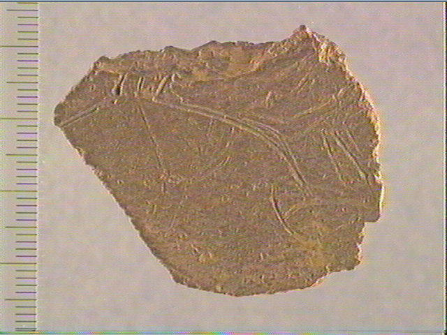 Plaquette (fragment)_0