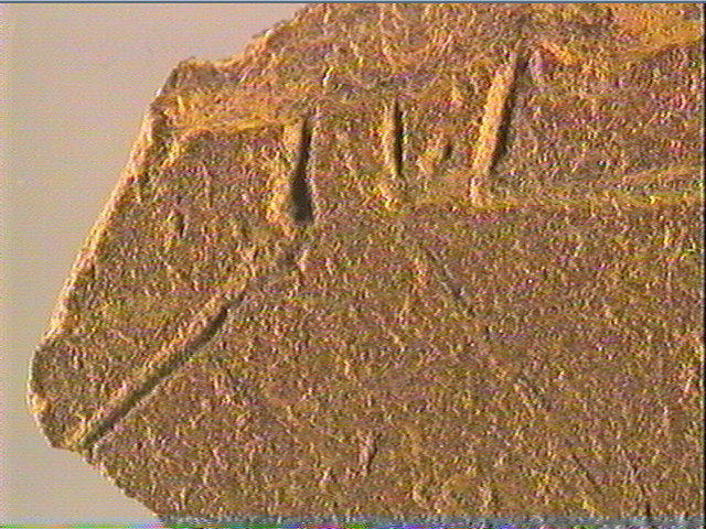 Plaquette (fragment)_2