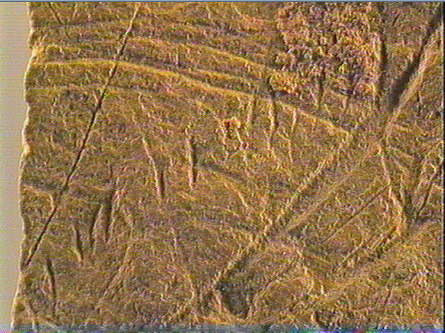 Plaquette (fragment)_3