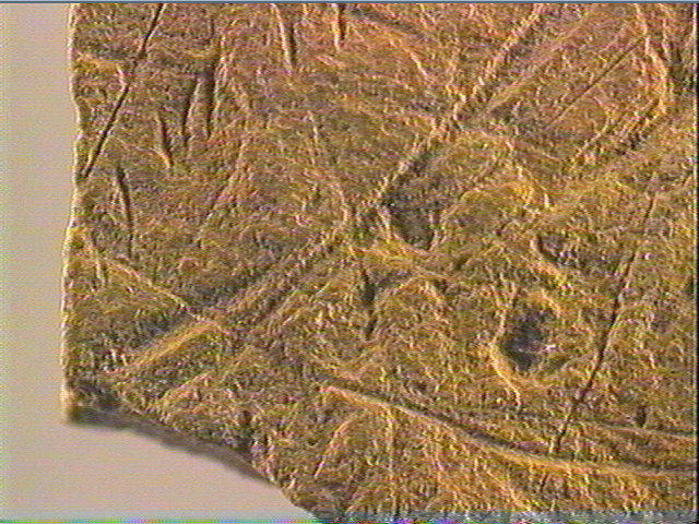 Plaquette (fragment)_4