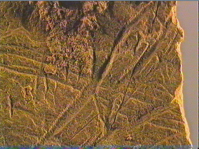 Plaquette (fragment)_6