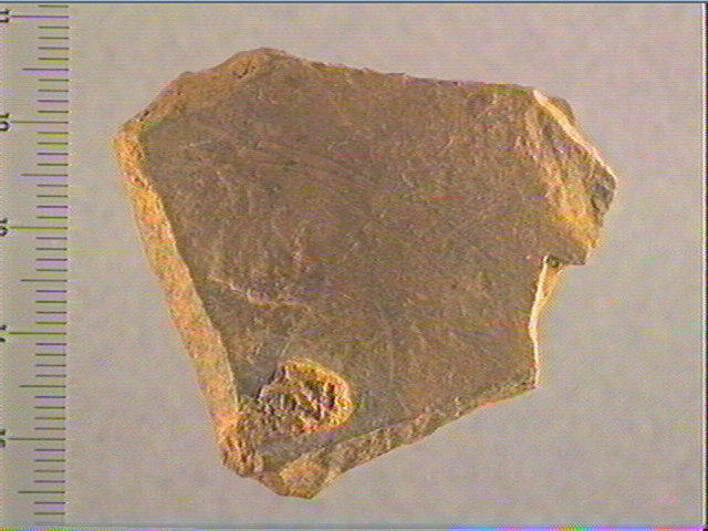 Plaquette (fragment)_0