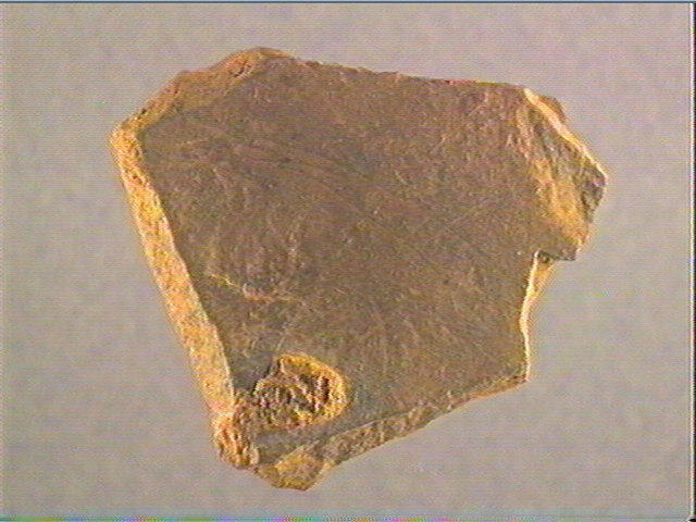 Plaquette (fragment)_1