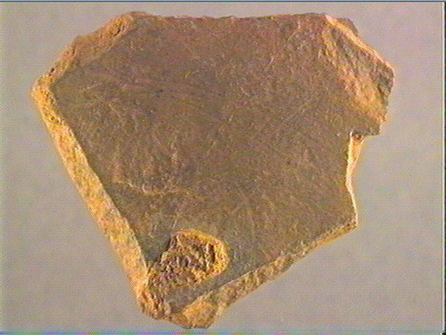 Plaquette (fragment)_3