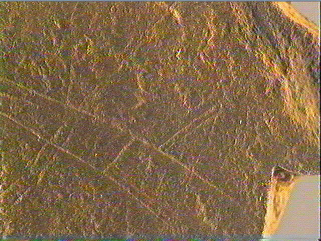 Plaquette (fragment)_5