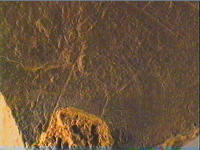 Plaquette (fragment)_6