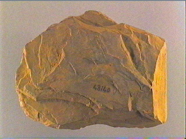 Plaquette (fragment)_1