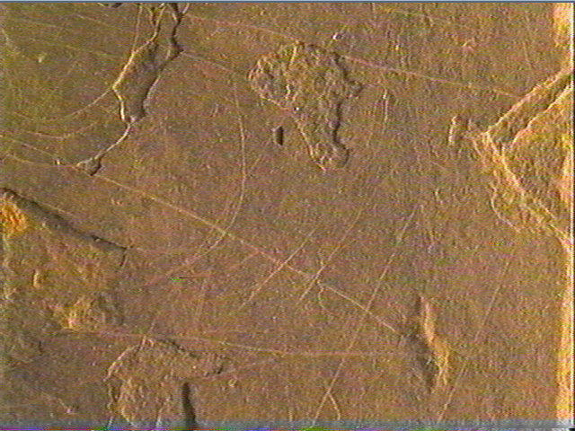 Plaquette (fragment)_4