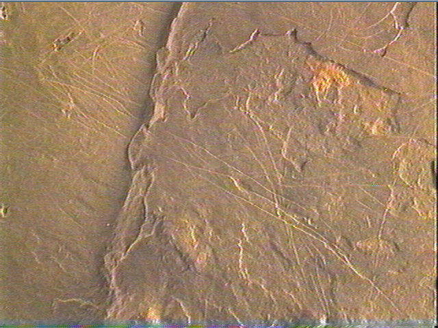 Plaquette (fragment)_5