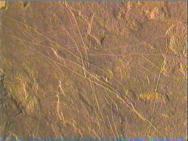 Plaquette (fragment)_6
