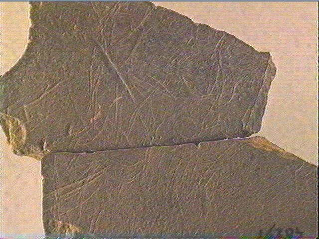 Plaquette (fragment, 2)_4