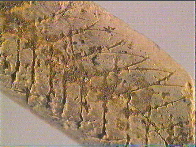 Ciseau (2)_6