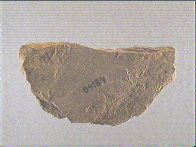 Plaquette (fragment)_1