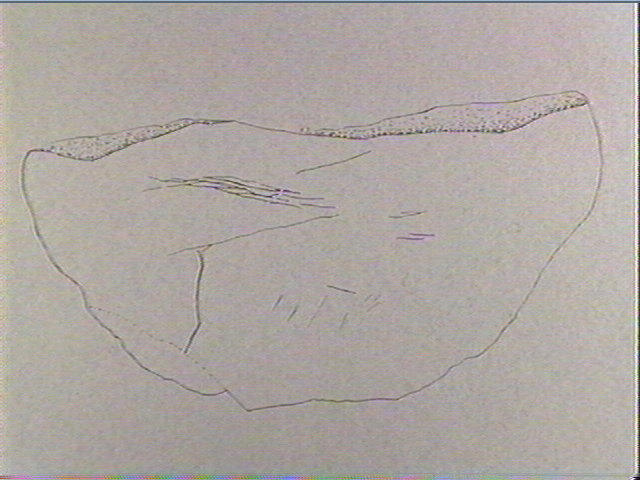 Plaquette (fragment)_2
