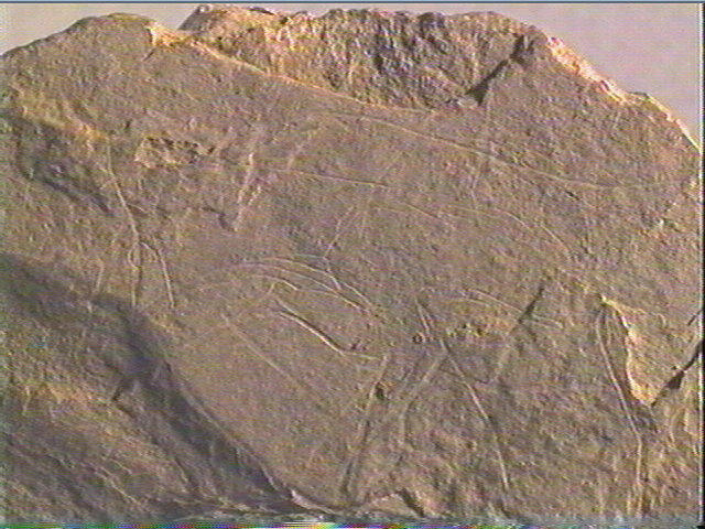 Plaquette (fragment)_4