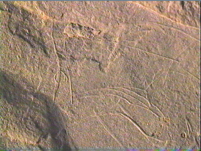 Plaquette (fragment)_5