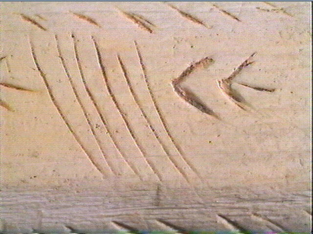 Sagaie_4