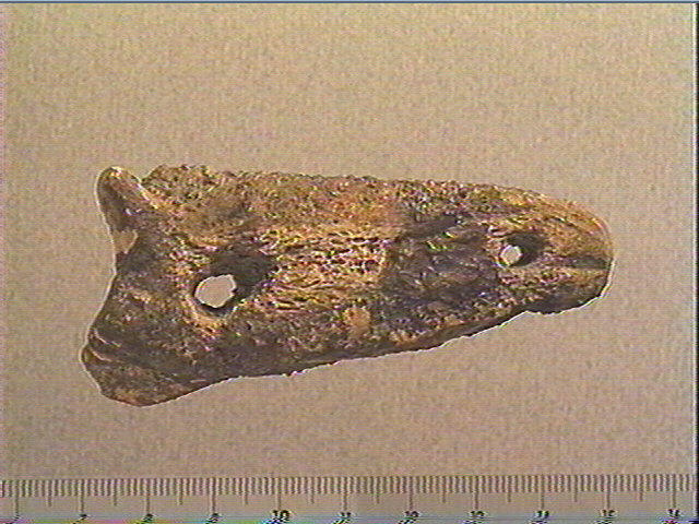 Phalange (bovidé)_0