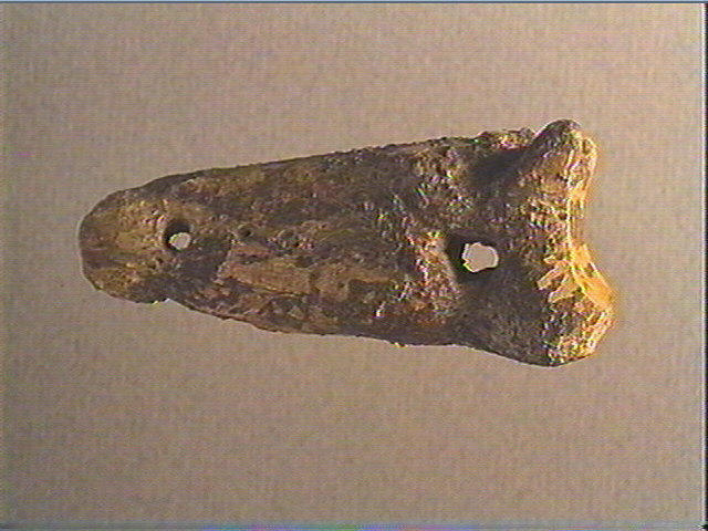 Phalange (bovidé)_2