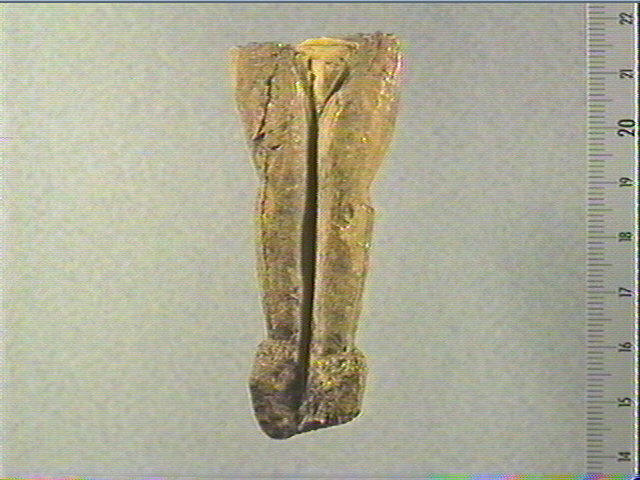 L'ébauche_0