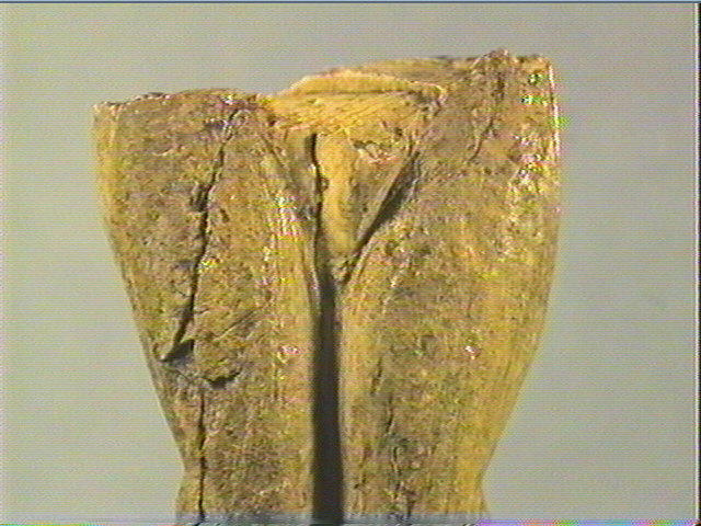 L'ébauche_1